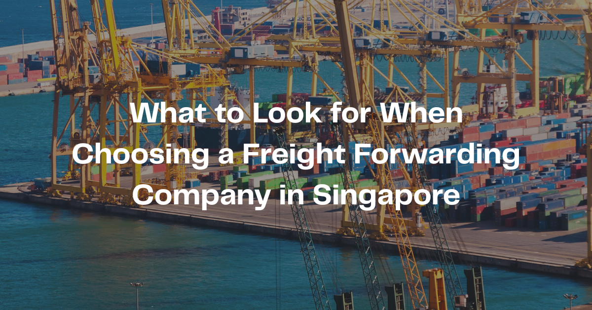 What to Look for When Choosing a Freight Forwarder Singapore?